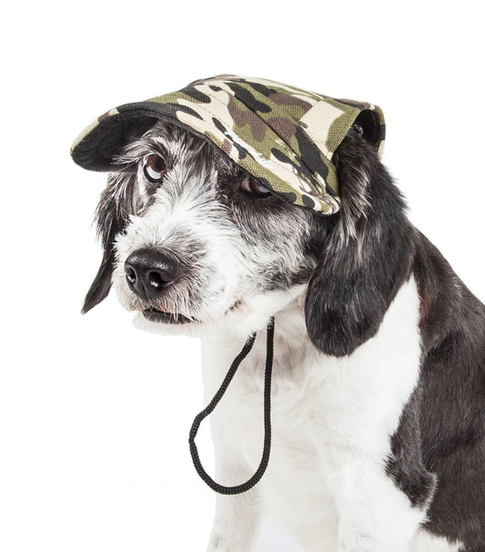 Dog wearing a camouflage hat on a white background