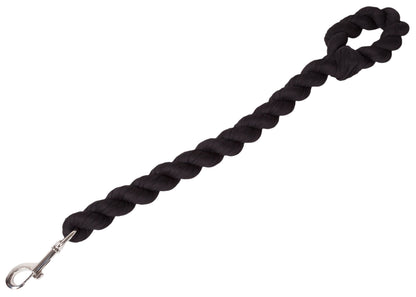 Black braided dog leash with a metal clip on a white background