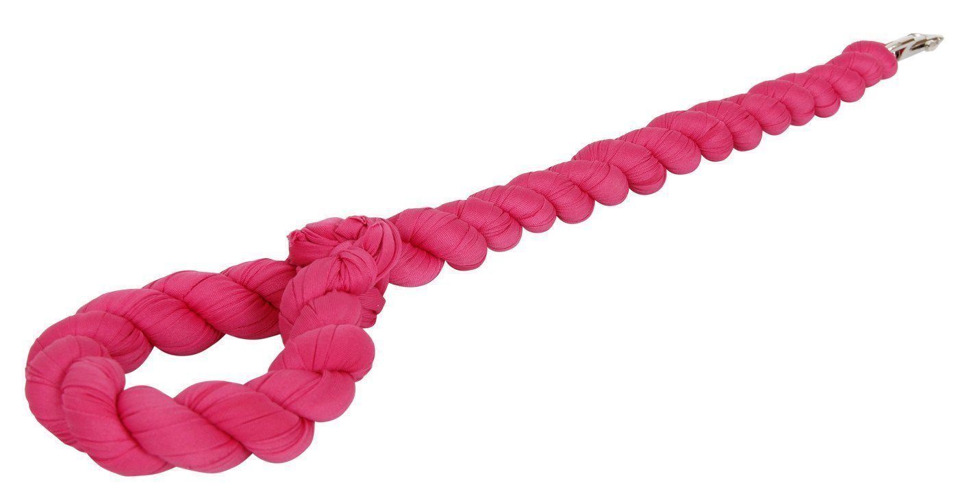 Pink braided dog牵引绳 on a white background