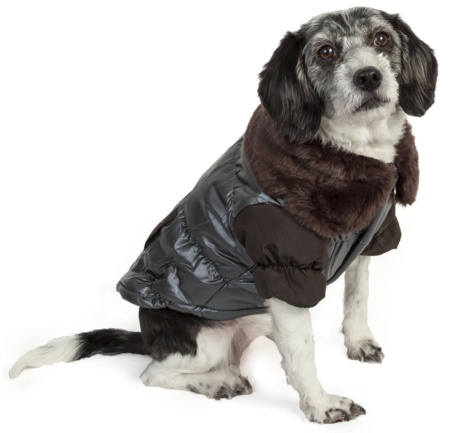 Dog wearing a gray puffer jacket with brown fur trim on a white background