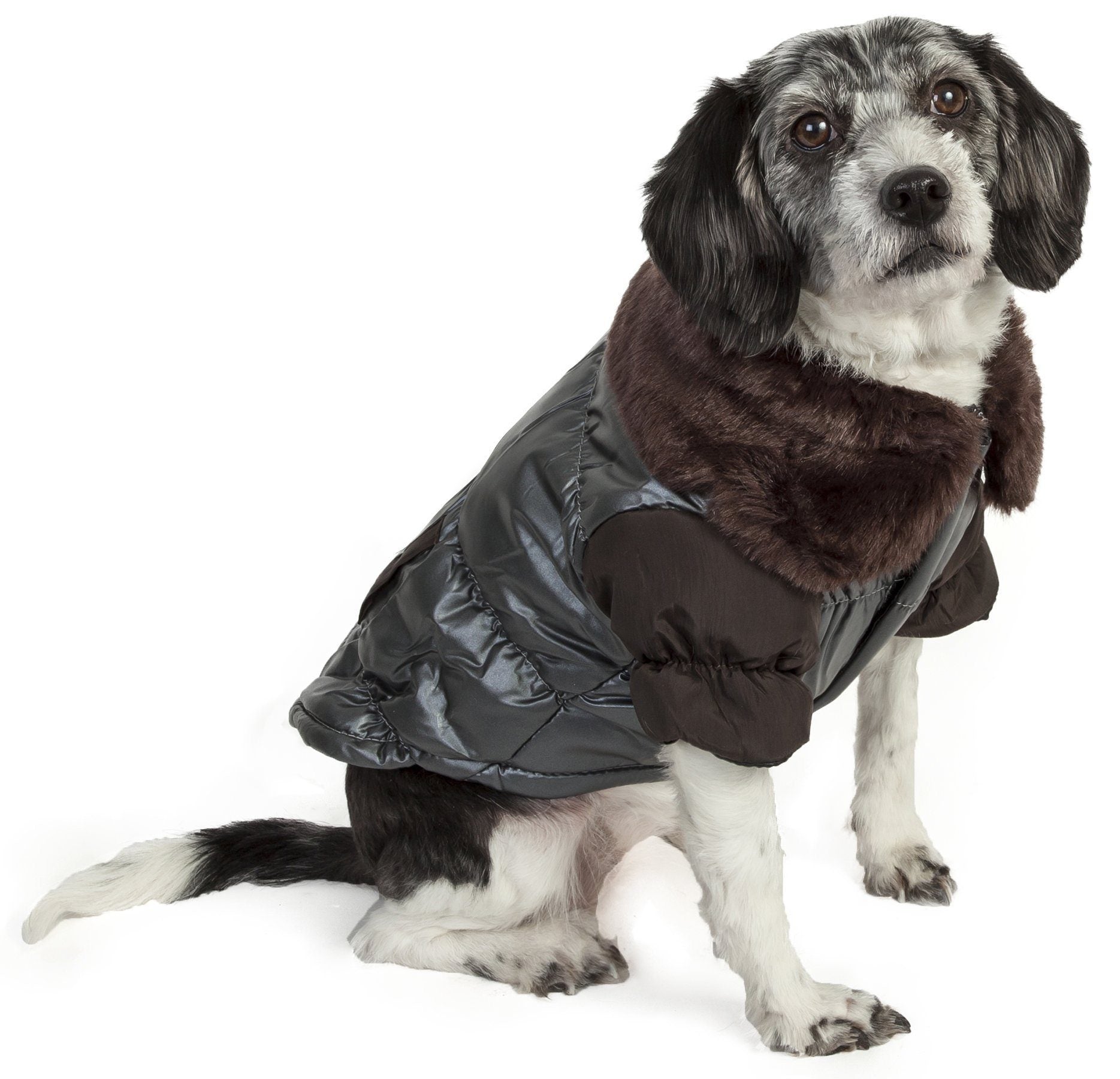 Dog wearing a gray puffer jacket with brown fur trim on a white background