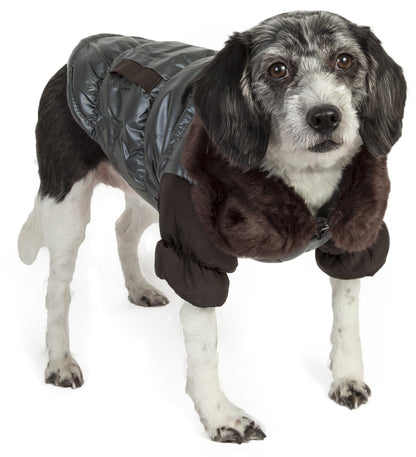 Dog wearing a gray and brown puffer coat on a white background