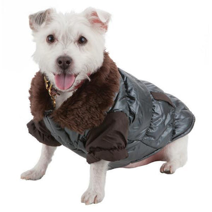 Dog wearing a gray puffer coat with brown fur trim on a white background