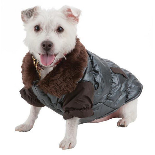 Dog wearing a gray puffer coat with brown fur trim on a white background