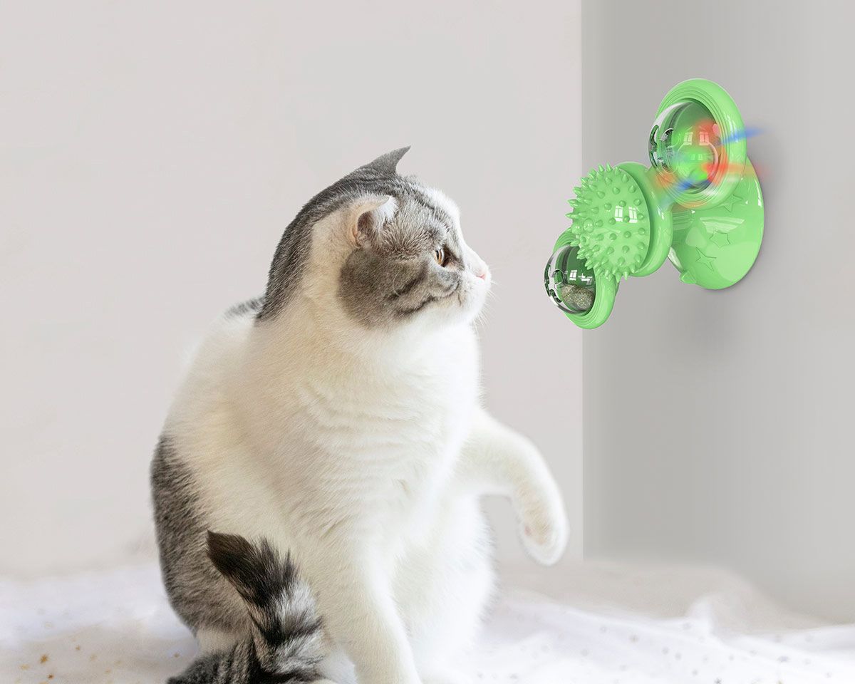 Cat playing with a green pet toy on a white background