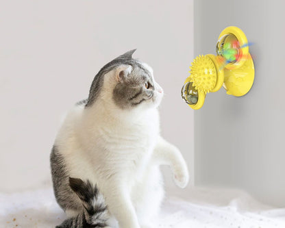Cat playing with a yellow pet toy on a white background
