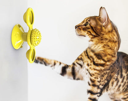 Cat playing with a yellow pet toy on a white background