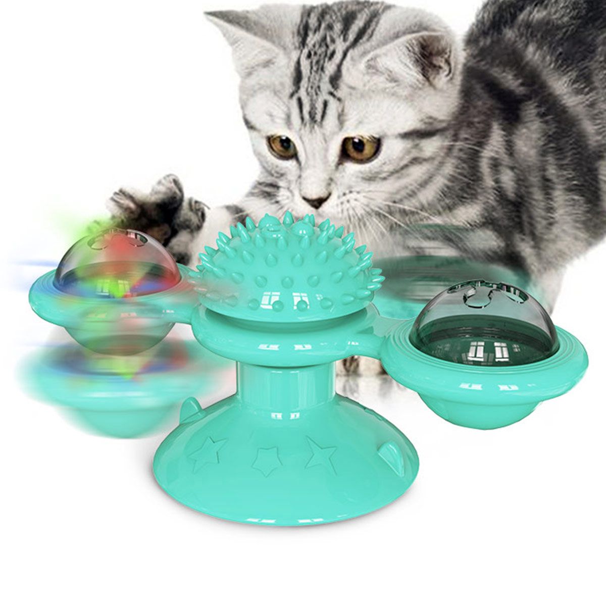Cat playing with a teal rotating toy