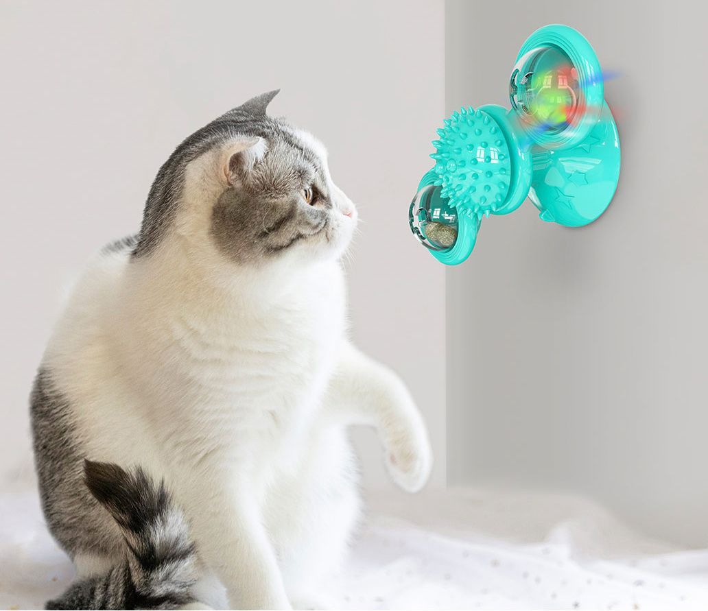 Cat playing with a teal and multicolored ball toy on a light background