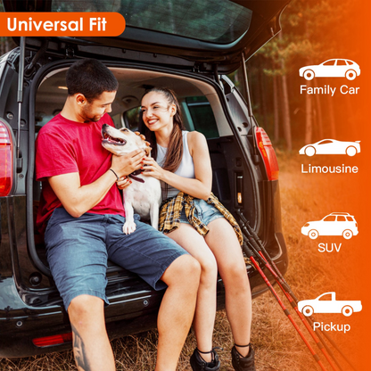 Couple with a dog in the back of a car, surrounded by icons indicating vehicle types.