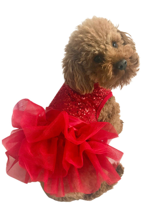 Small dog wearing a red dress with a white background