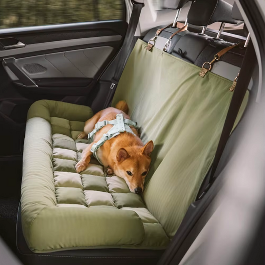 Dog lying on a green pet seat cover in a car
