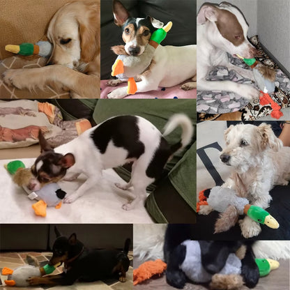 Plush toy duck with green head and gray body