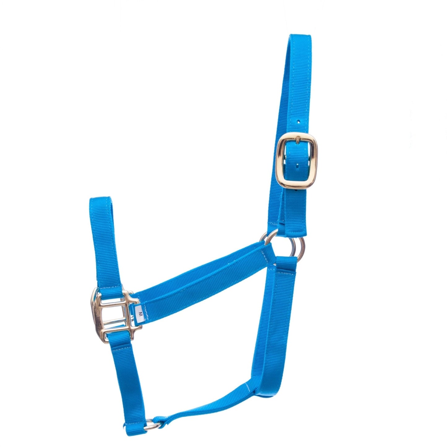 Blue halter with silver hardware on a white background