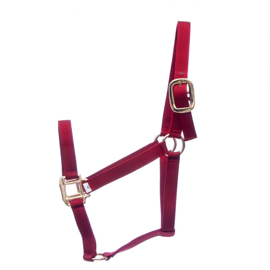 Red horse halter with gold hardware on a white background