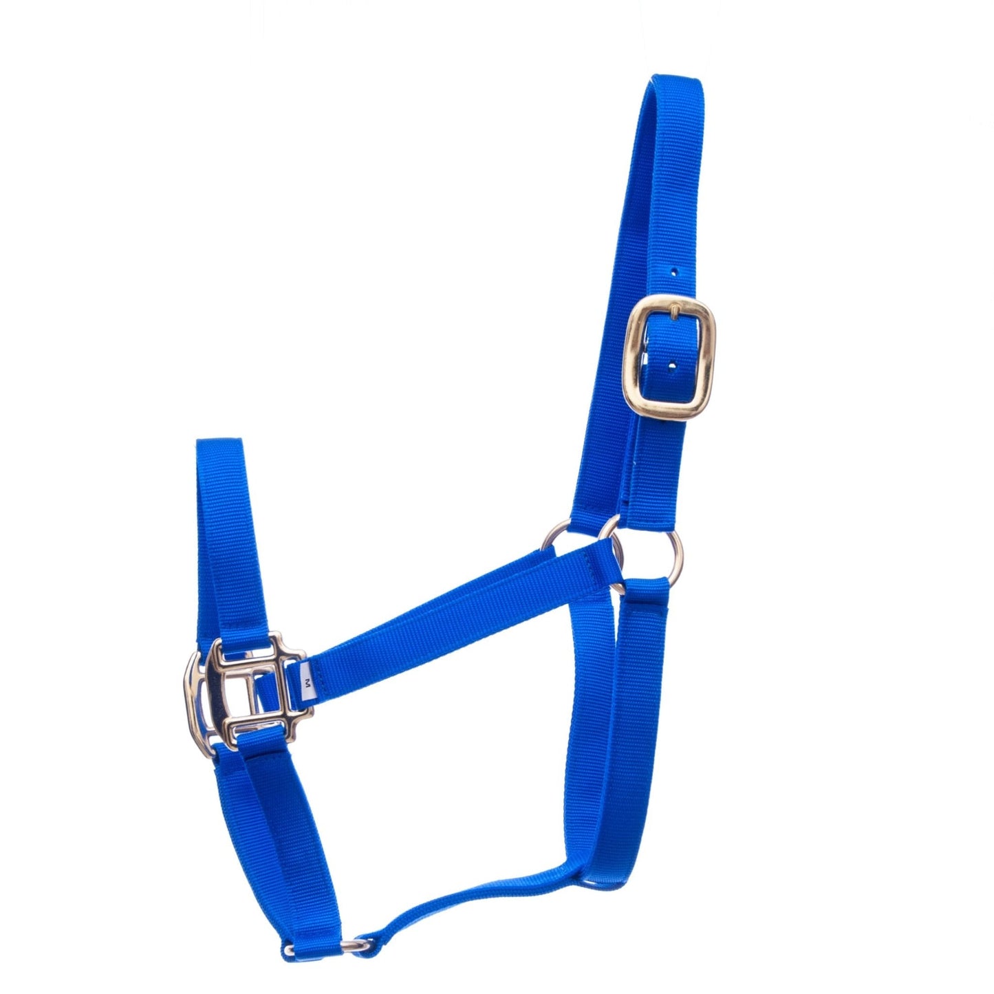 Blue halter with silver buckles on a white background