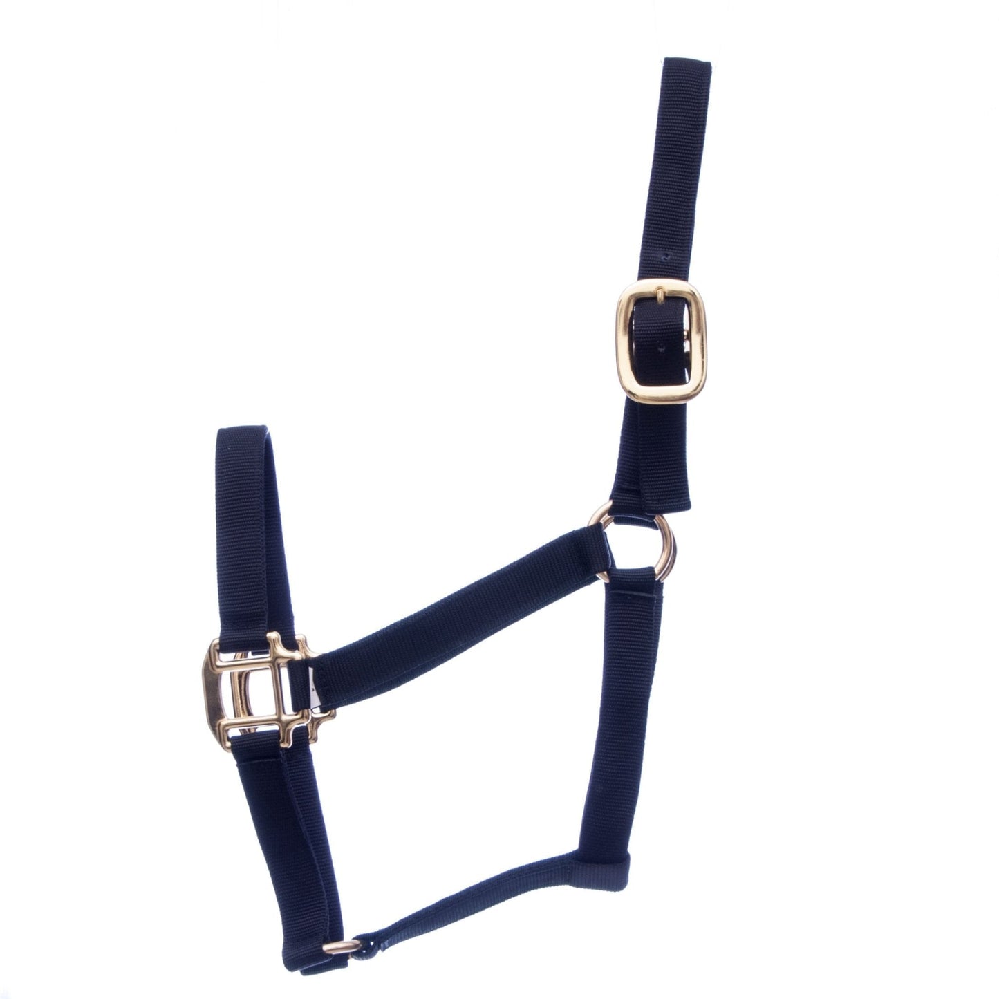 Navy blue horse halter with gold hardware on a white background
