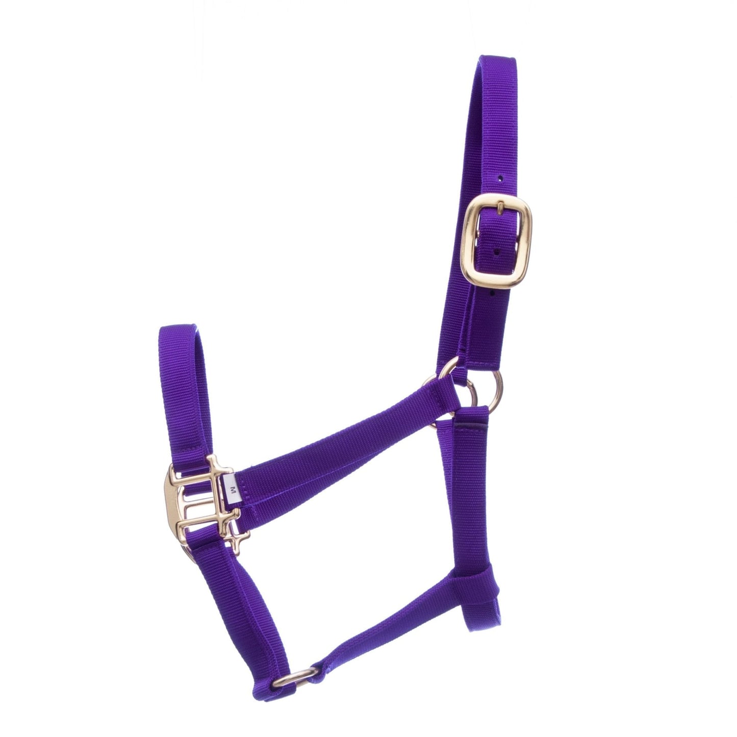 Purple horse halter with gold hardware on a white background