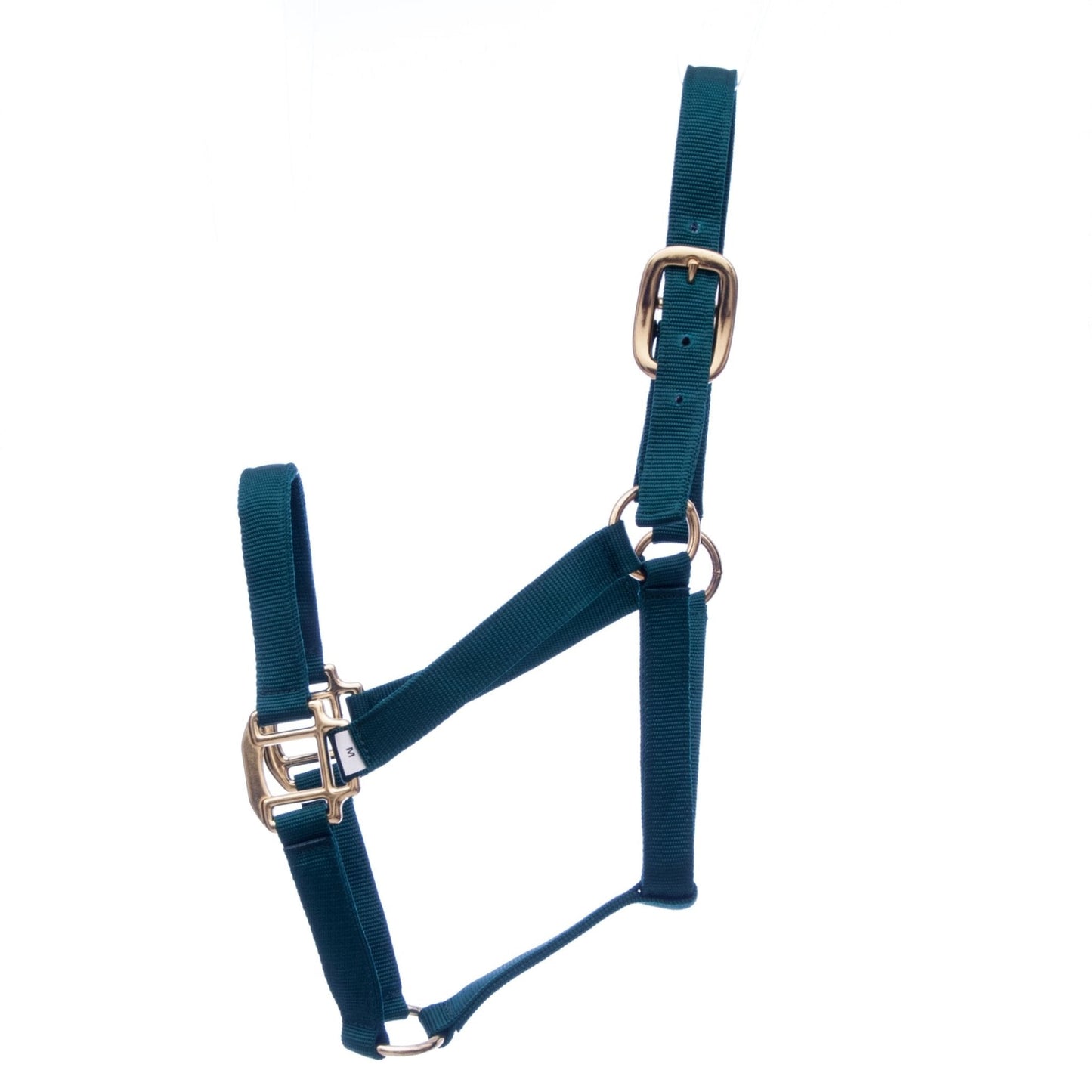 Blue horse halter with brass hardware on a white background