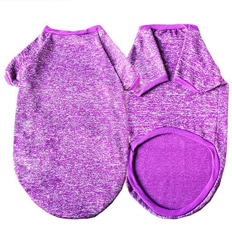 Purple pet coat with matching pouch on a white background