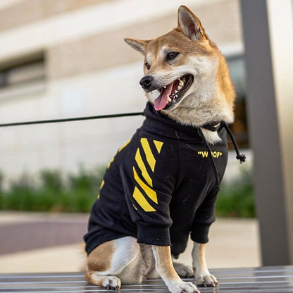 Dog wearing a black hoodie with yellow stripes and text, standing outdoors.