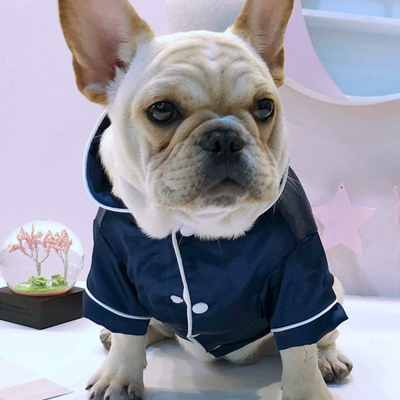 Dog wearing a navy blue raincoat with white trim indoors