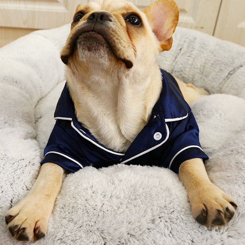 Dog wearing a navy blue pajama outfit on a fluffy white bed.