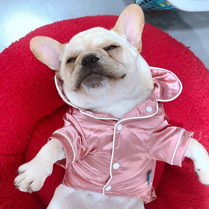 Dog wearing a pink outfit sitting on a red cushion