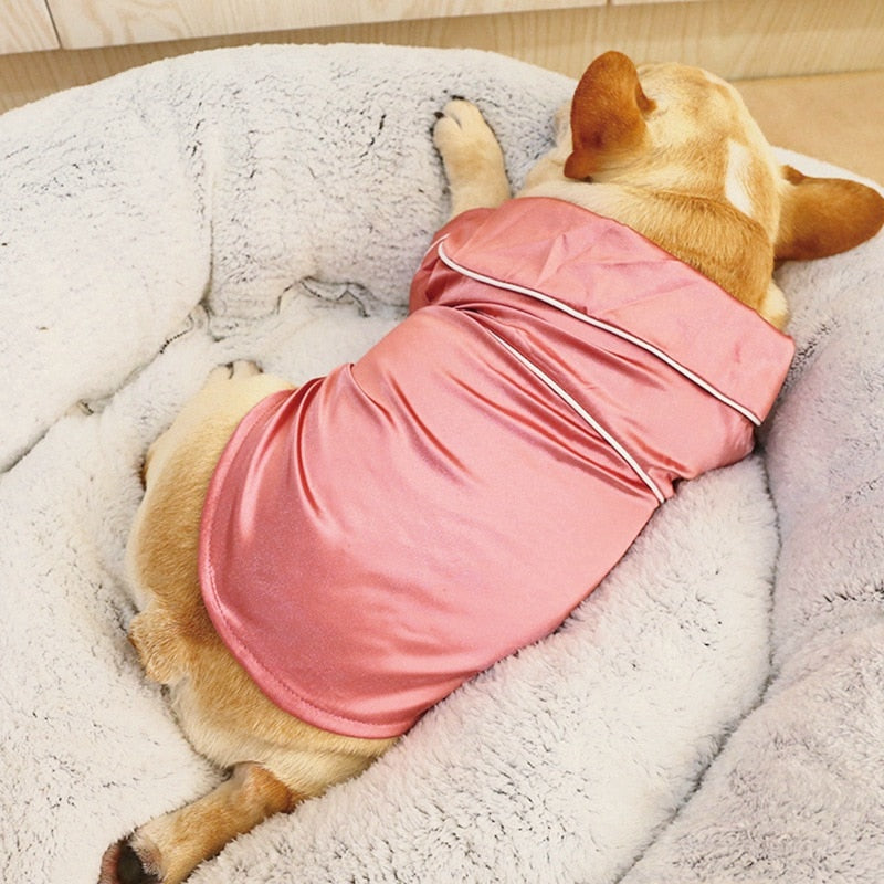 Dog wearing a pink outfit lying on a fluffy white cushion