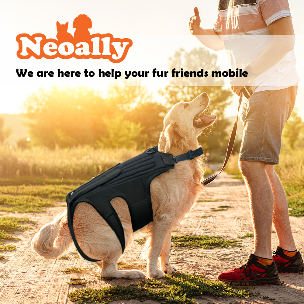 Dog wearing a black vest with a person holding a leash, set against a scenic background with 'Neoally' branding.
