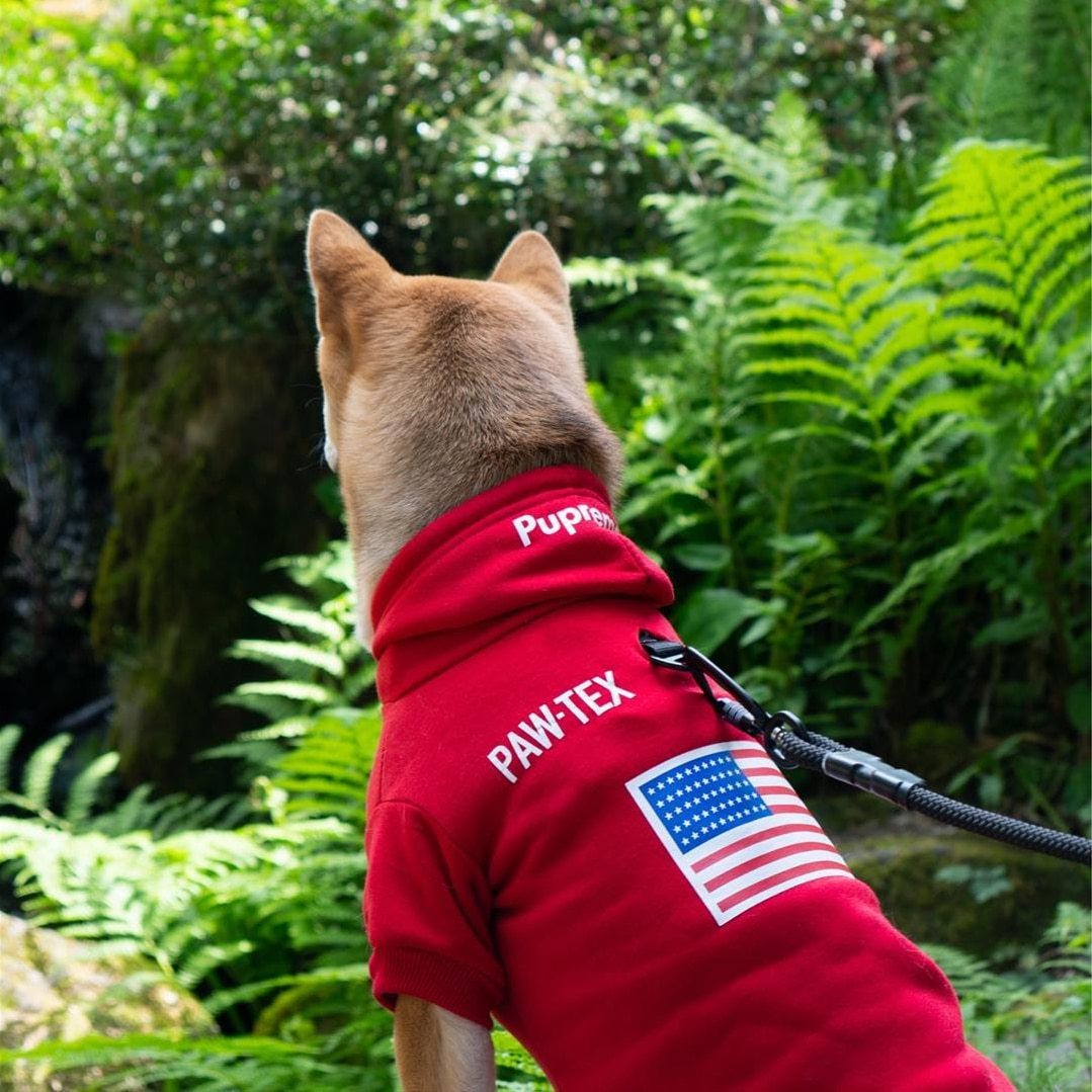 Dog wearing a red PAW-TEX jacket with an American flag patch in a forest setting