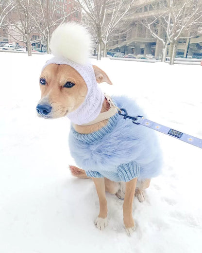 Dog wearing a light blue sweater and white balaclava in a snowy outdoor setting