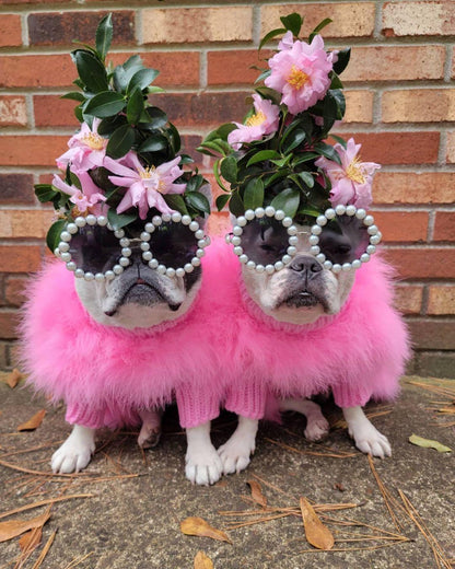Two dogs in pink outfits with flower crowns and sunglasses standing on a brick surface.