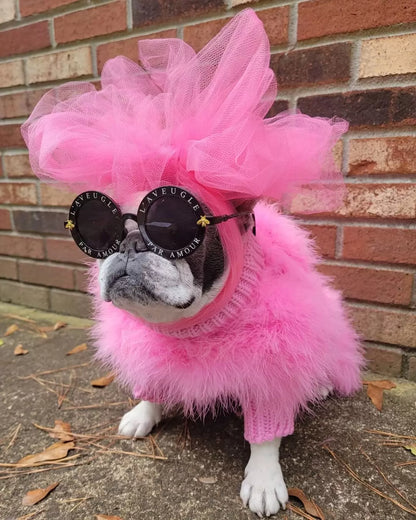 Dog wearing a pink feathered outfit and sunglasses in front of a brick wall.