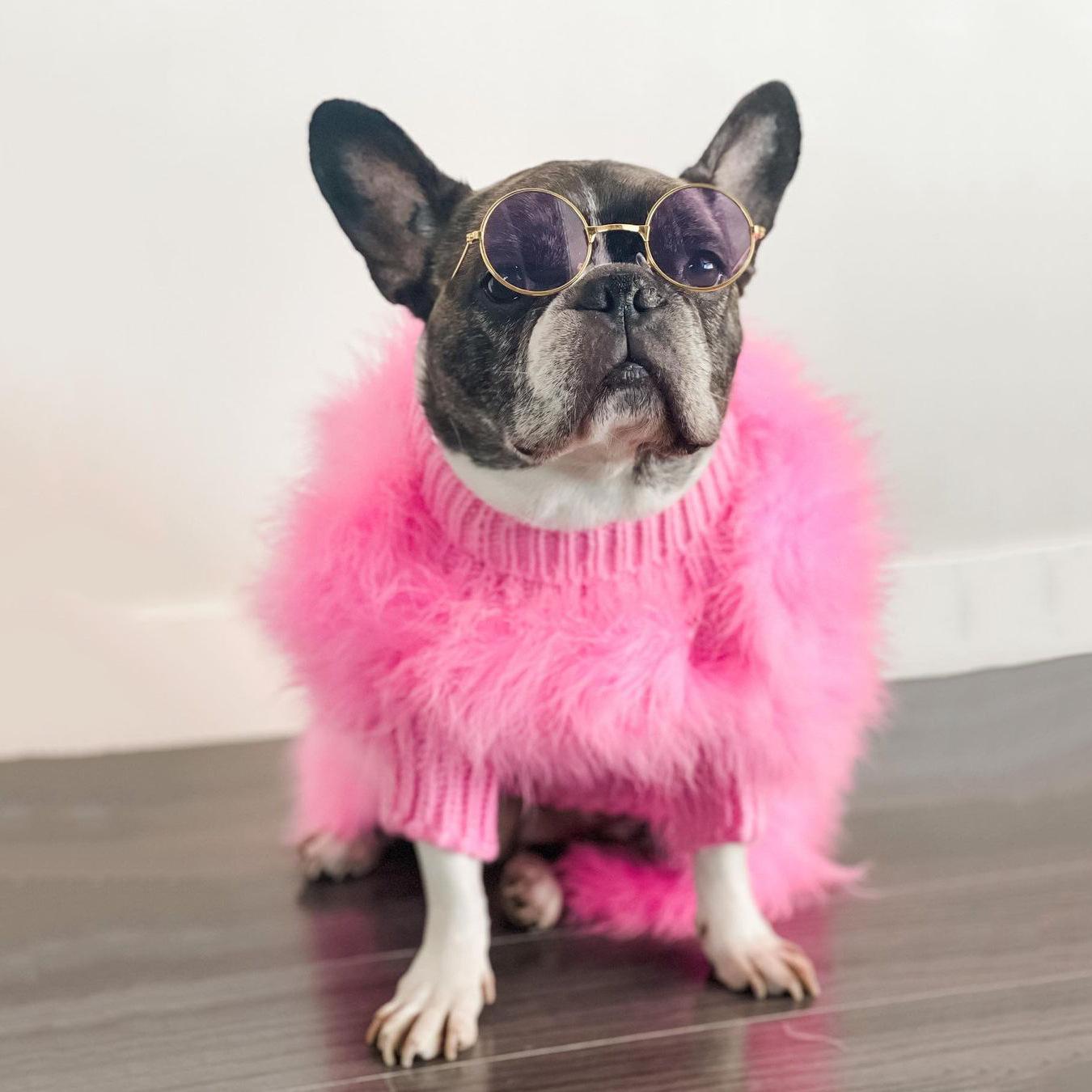 Dog wearing a pink sweater and sunglasses on a wooden floor.