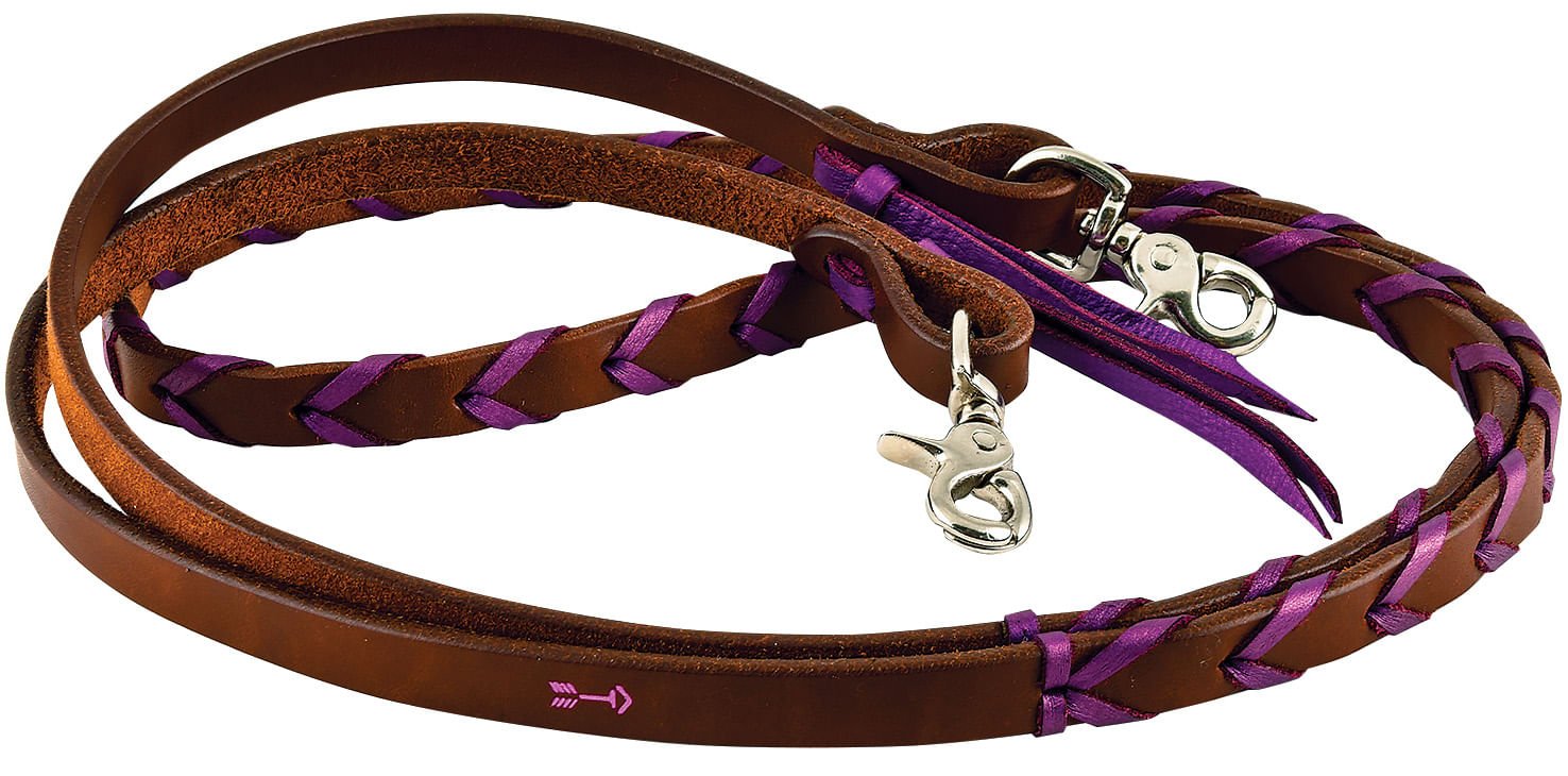 Brown and purple braided leather dog leash on a white background