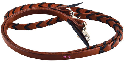 Brown leather dog leash with black stitching on a white background