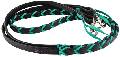 Black and green braided dog leash with gold clasp on a white background