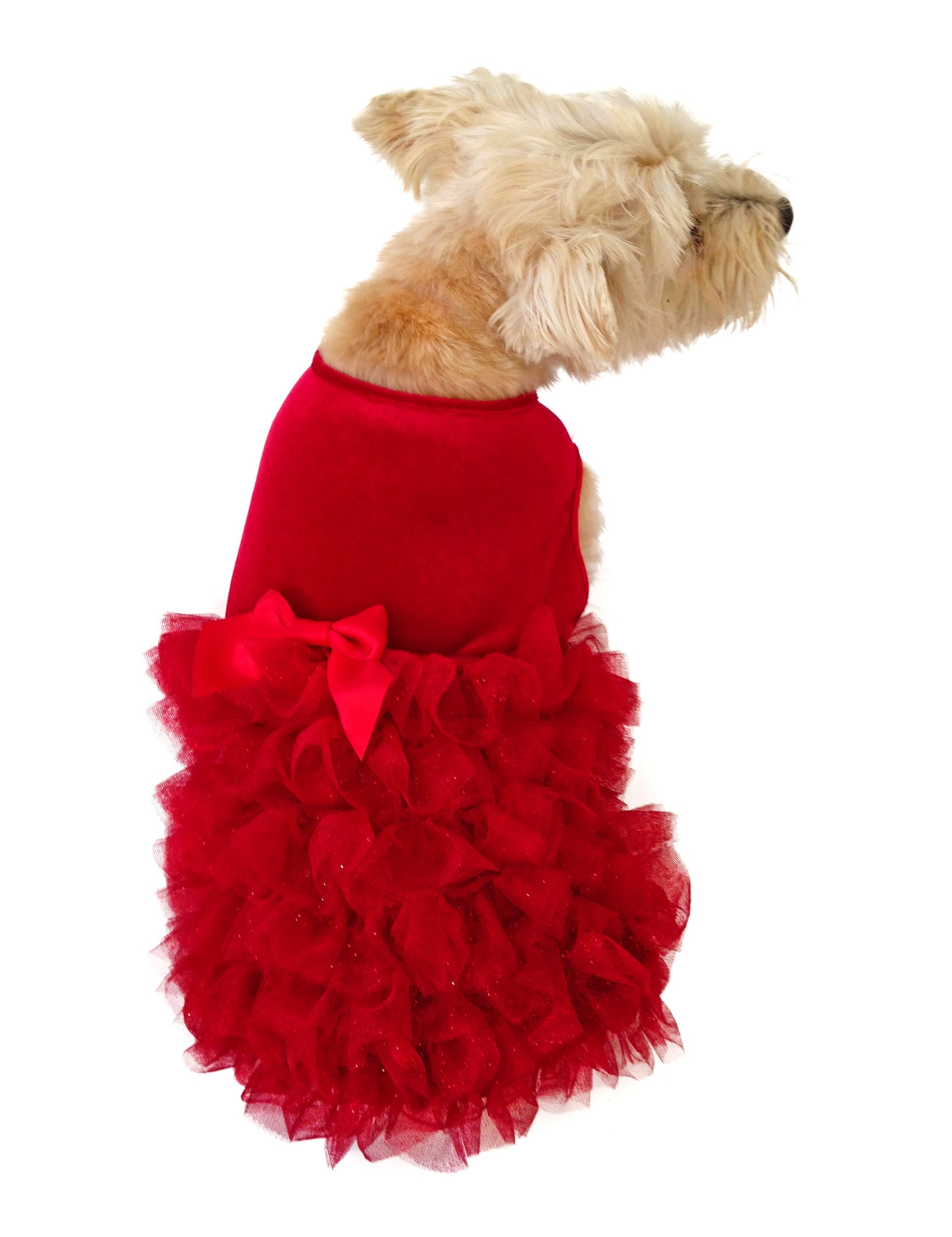 Dog wearing a red ruffled dress on a white background