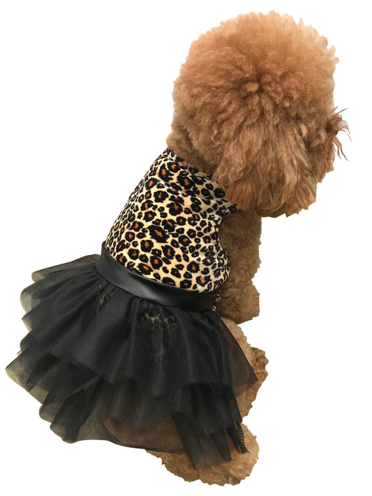 Dog wearing a leopard print top and black tutu skirt on a white background