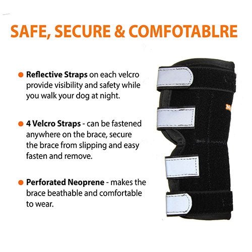 Black dog brace with reflective straps and text highlighting features on a white background