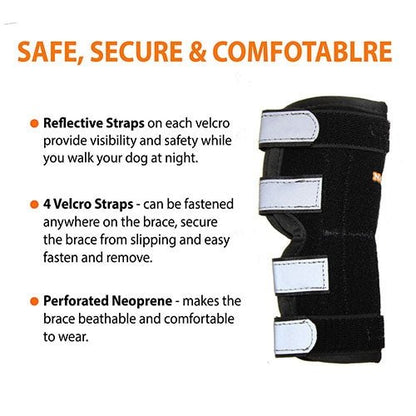 Black dog brace with reflective straps and text highlighting features on a white background