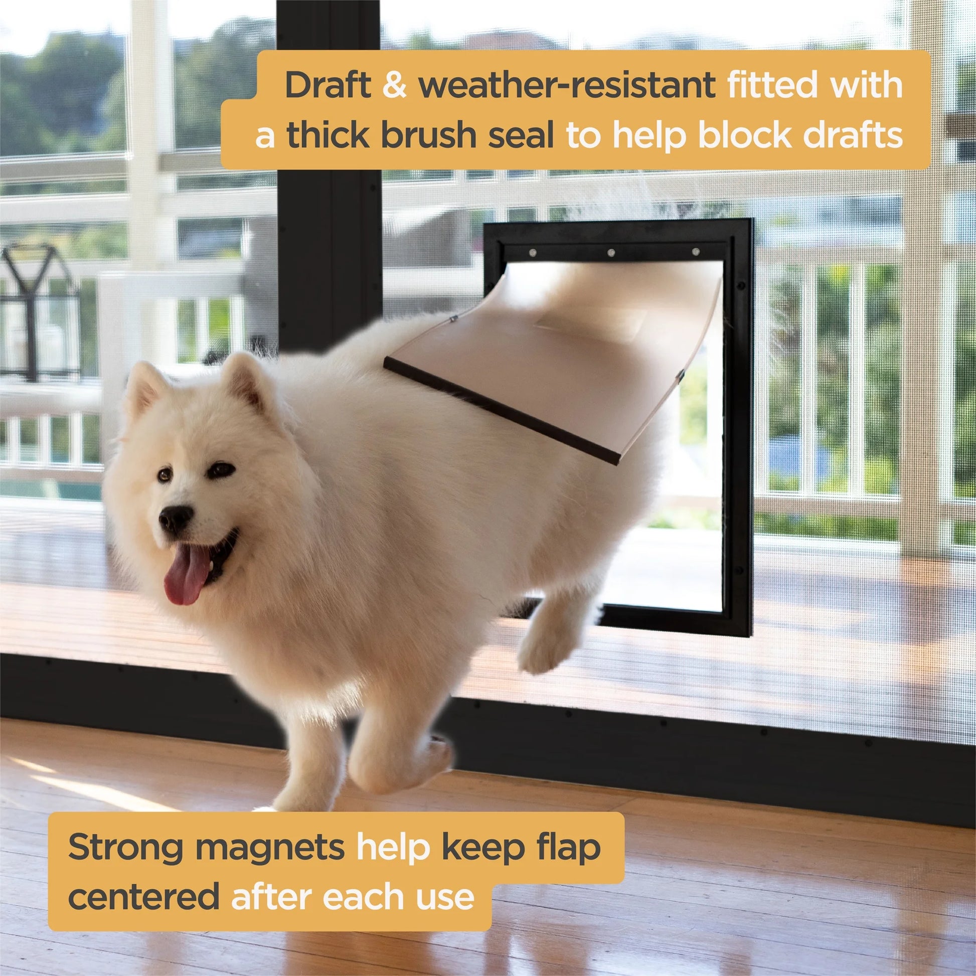 Dog using a Pet Door with text highlighting features like Draft Resistance and Strong Magnets.