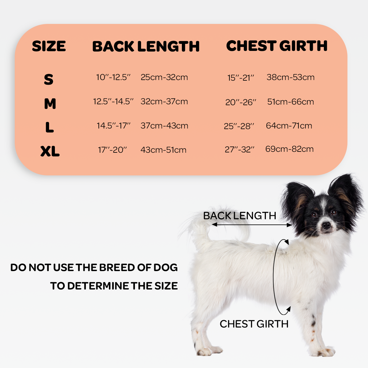 Dog size chart with measurements for back length and chest girth, featuring a small dog model.