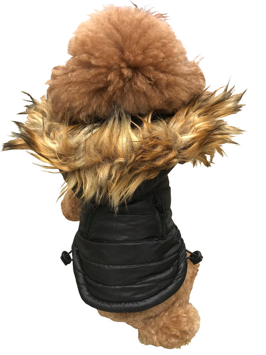Ski Bunny Puffer with detachable hood, Shiny Black
