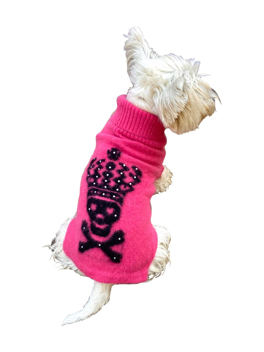 Dog wearing a pink sweater with a skull and crossbones design on a white background