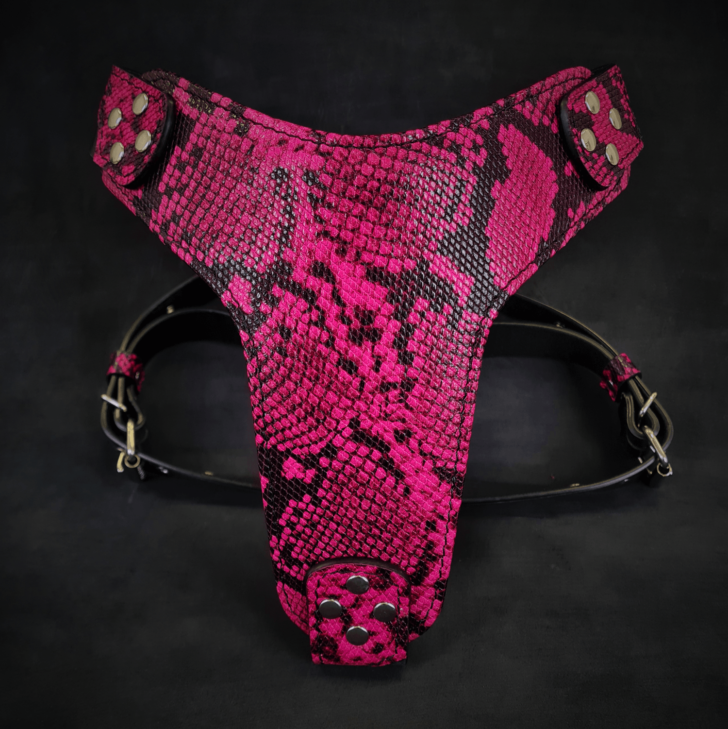 Pink and black patterned harness on a black background 