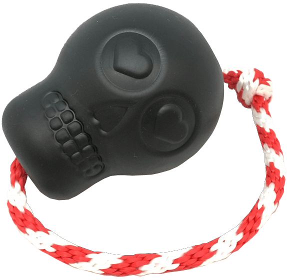 Black skull-shaped dog toy with a red and white rope on a transparent background