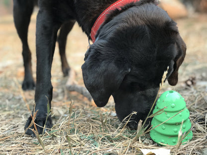Black dog sniffing a green plastic cone on dry grass