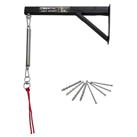 Dog training tool with a red strap and metal components on a white background